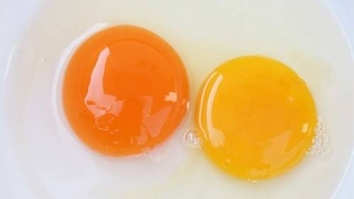Trong lòng đỏ trứng có giá trị dinh dưỡng cao