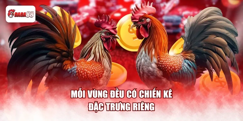 Mỗi vùng đều có chiến kê đặc trưng riêng