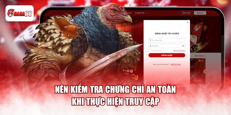 Nên kiểm tra chứng chỉ an toàn khi thực hiện truy cập
