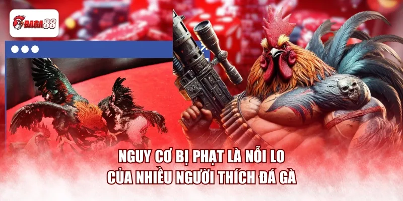 Nguy cơ bị phạt là nỗi lo của nhiều người thích đá gà