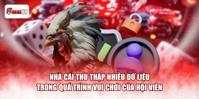 Nhà cái thu thập nhiều dữ liệu trong quá trình vui chơi của hội viên