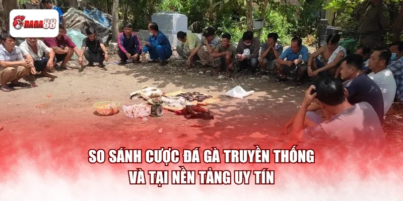 So sánh cược đá gà truyền thống và tại nền tảng uy tín