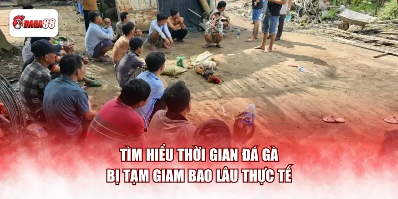 Tìm hiểu thời gian đá gà daga88 bị tạm giam bao lâu thực tế